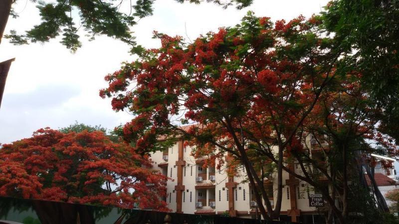 Your House 3 Guest House Chiang Mai Bagian luar foto