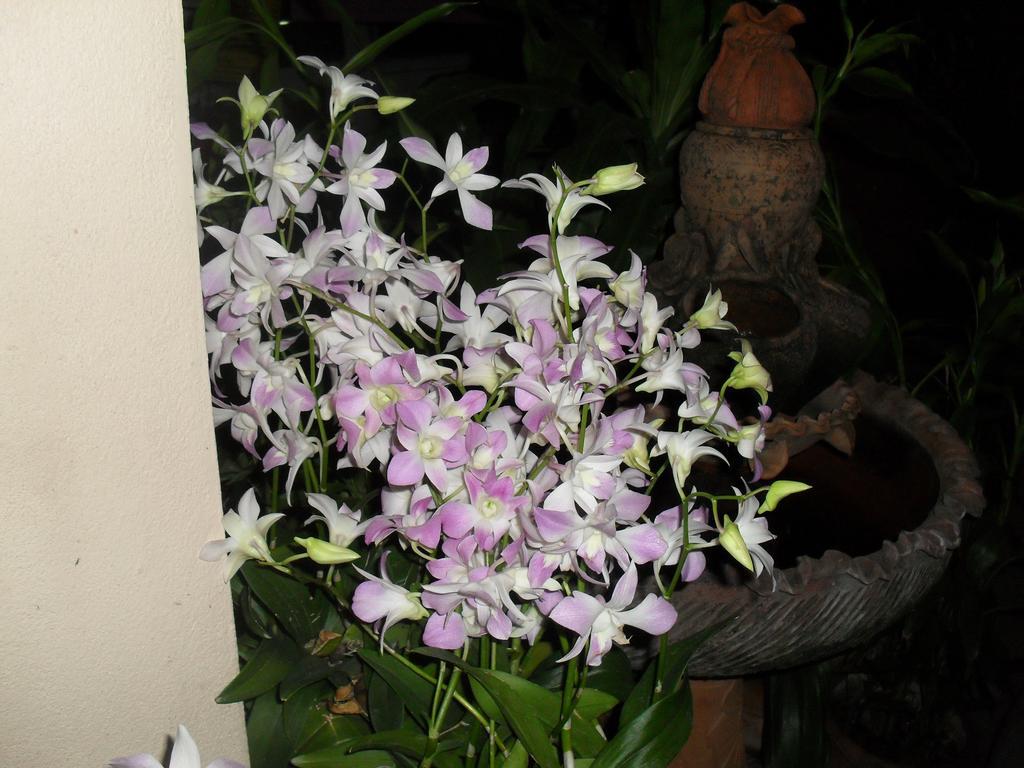 Your House 3 Guest House Chiang Mai Bagian luar foto